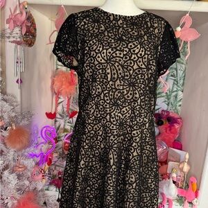 Ann Taylor Loft black lace cocktail dress